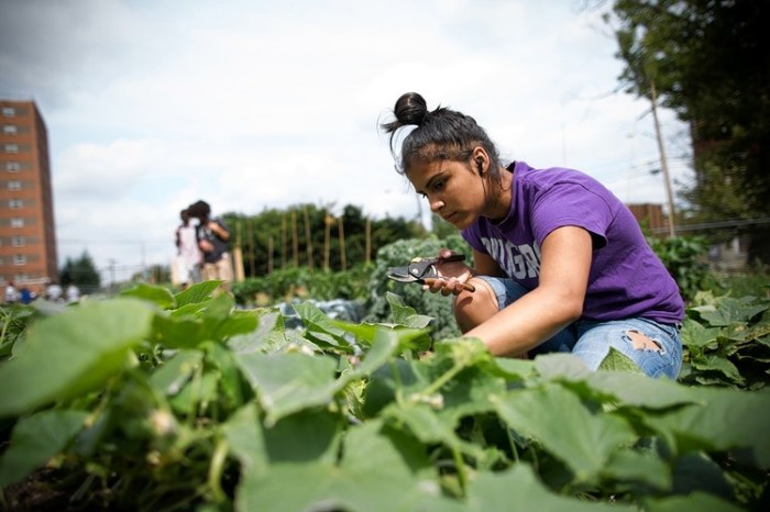 Image: Kevin Hagen/Wall Street Journal