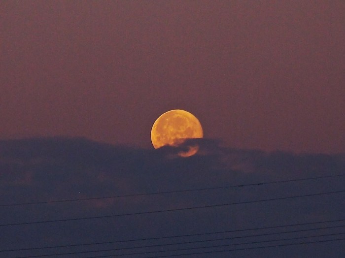 Image: Dr. Dick's Report